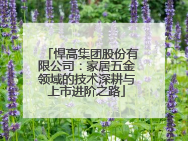 悍高集团股份有限公司：家居五金领域的技术深耕与上市进阶之路