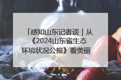 感知山东记者谈｜从《2024山东省生态环境状况公报》看美丽山东建设的“成绩单”与“任务书”