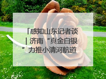 感知山东记者谈｜济南“真金白银”力推小清河航道 黄金水道激活区域经济新动能