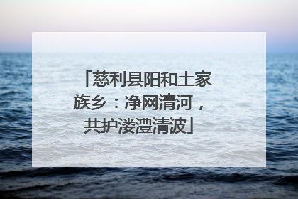 慈利县阳和土家族乡：净网清河，共护溇澧清波