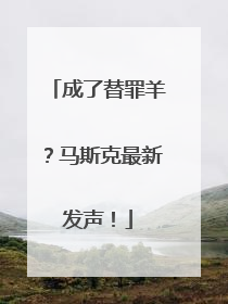 成了替罪羊？马斯克最新发声！