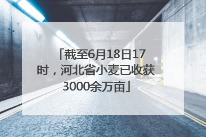 截至6月18日17时，河北省小麦已收获3000余万亩