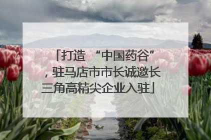 打造 “中国药谷”，驻马店市市长诚邀长三角高精尖企业入驻