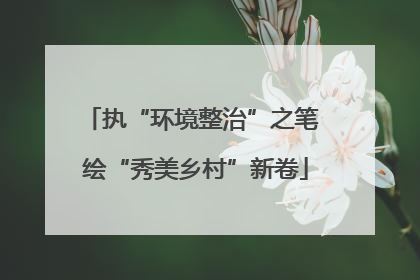 执“环境整治”之笔 绘“秀美乡村”新卷
