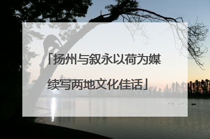 扬州与叙永以荷为媒续写两地文化佳话