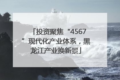 投资聚焦“4567”现代化产业体系，黑龙江产业换新景