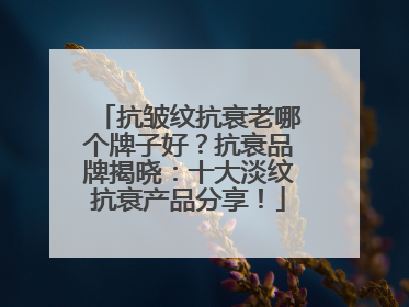 抗皱纹抗衰老哪个牌子好？抗衰品牌揭晓：十大淡纹抗衰产品分享！