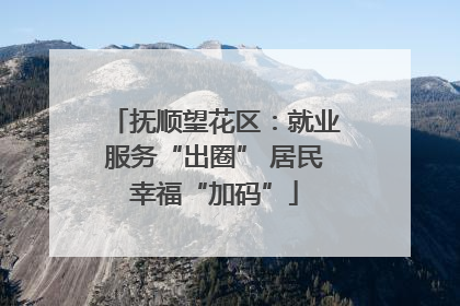 抚顺望花区：就业服务“出圈” 居民幸福“加码”