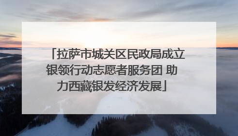 拉萨市城关区民政局成立银领行动志愿者服务团 助力西藏银发经济发展