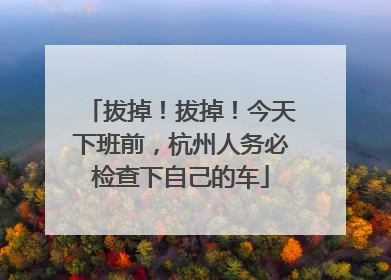 拔掉！拔掉！今天下班前，杭州人务必检查下自己的车