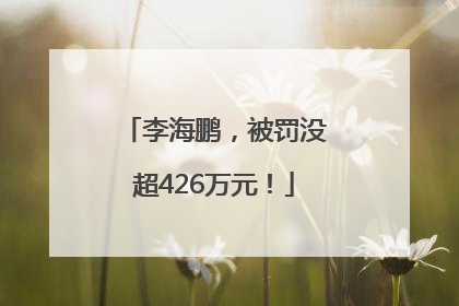 李海鹏，被罚没超426万元！