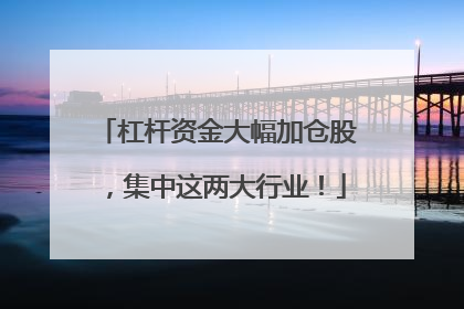 杠杆资金大幅加仓股，集中这两大行业！