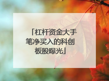 杠杆资金大手笔净买入的科创板股曝光