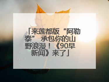 来莲都版“阿勒泰” 承包你的山野浪漫！《90早新闻》来了