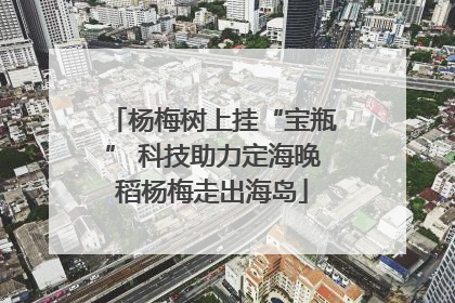 杨梅树上挂“宝瓶” 科技助力定海晚稻杨梅走出海岛