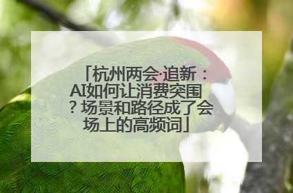 杭州两会·追新：AI如何让消费突围？场景和路径成了会场上的高频词