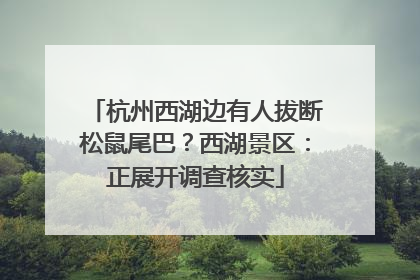 杭州西湖边有人拔断松鼠尾巴？西湖景区：正展开调查核实