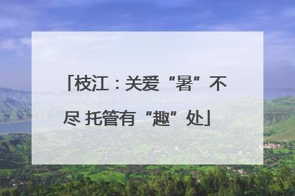 枝江：关爱“暑”不尽 托管有“趣”处