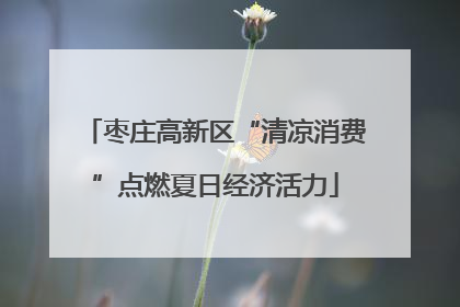 枣庄高新区“清凉消费”点燃夏日经济活力