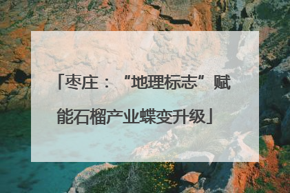 枣庄：“地理标志”赋能石榴产业蝶变升级