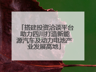 搭建投资洽谈平台 助力四川打造新能源汽车及动力电池产业发展高地