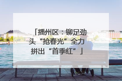 播州区：铆足劲头“抢春光”全力拼出“首季红”