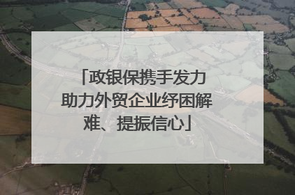 政银保携手发力 助力外贸企业纾困解难、提振信心