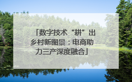 数字技术“耕”出乡村新图景：电商助力三产深度融合