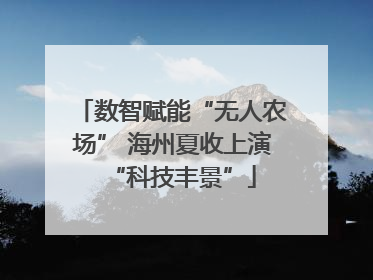 数智赋能“无人农场” 海州夏收上演“科技丰景”