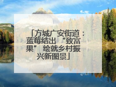 方城广安街道：蓝莓结出 “致富果” 绘就乡村振兴新图景