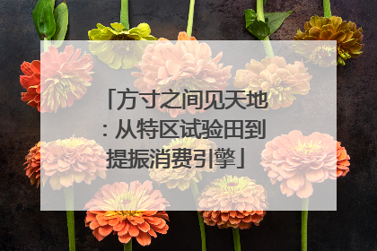 方寸之间见天地：从特区试验田到提振消费引擎