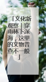 文化新观察｜穿雨林下深海，这里的文物普查不一般