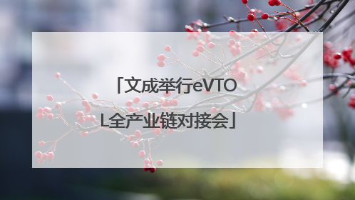 文成举行eVTOL全产业链对接会