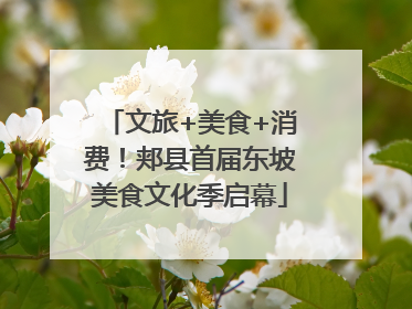 文旅+美食+消费！郏县首届东坡美食文化季启幕