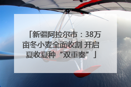 新疆阿拉尔市：38万亩冬小麦全面收割 开启夏收夏种“双重奏”
