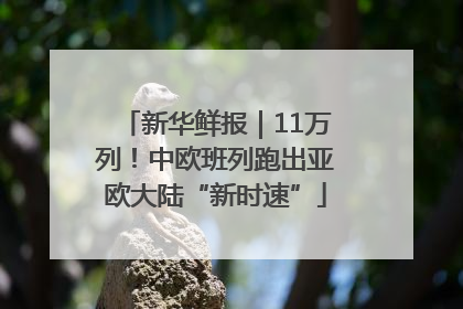 新华鲜报｜11万列！中欧班列跑出亚欧大陆“新时速”