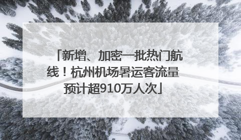 新增、加密一批热门航线！杭州机场暑运客流量预计超910万人次