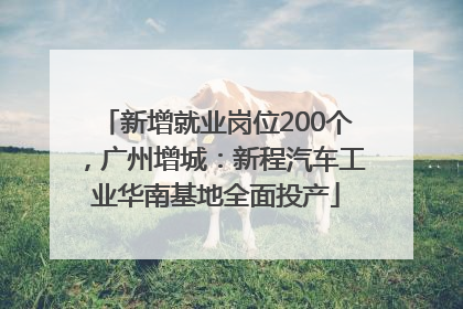 新增就业岗位200个，广州增城：新程汽车工业华南基地全面投产