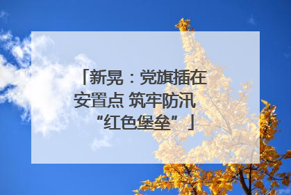 新晃：党旗插在安置点 筑牢防汛“红色堡垒”