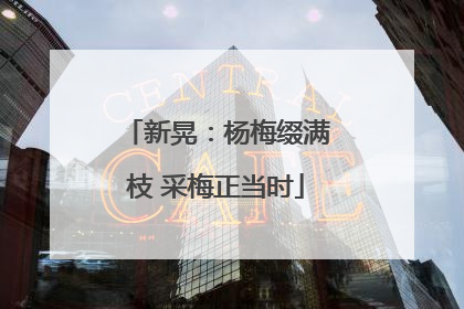 新晃：杨梅缀满枝 采梅正当时
