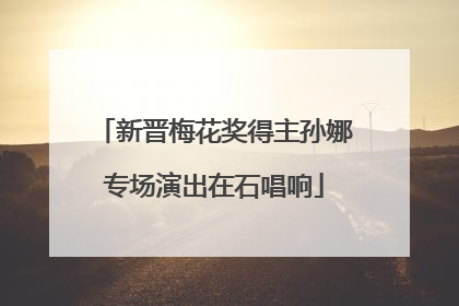 新晋梅花奖得主孙娜专场演出在石唱响