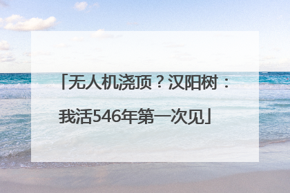 无人机浇顶？汉阳树：我活546年第一次见