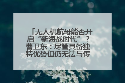 无人机航母能否开启“新海战时代”？曹卫东：尽管具备独特优势但仍无法与传统航母相提并论