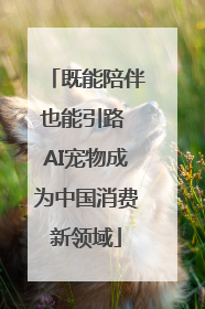 既能陪伴也能引路 AI宠物成为中国消费新领域