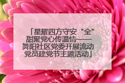 星耀四方守安“全” 甜聚党心传温情——舞阳社区党委开展流动党员建党节主题活动