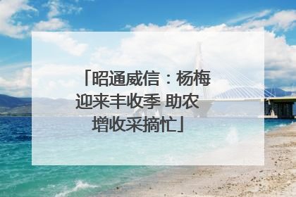 昭通威信：杨梅迎来丰收季 助农增收采摘忙
