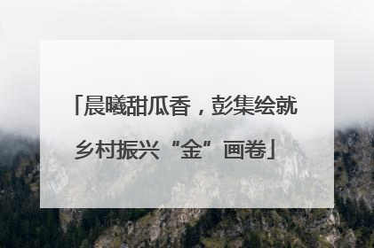 晨曦甜瓜香，彭集绘就乡村振兴“金”画卷