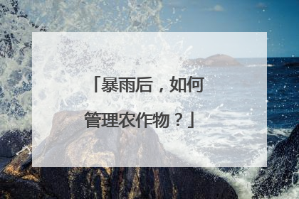 暴雨后，如何管理农作物？