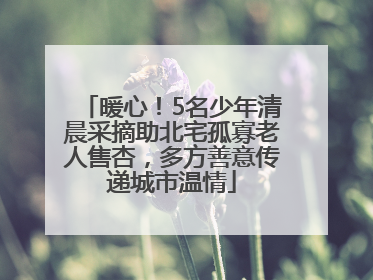 暖心！5名少年清晨采摘助北宅孤寡老人售杏，多方善意传递城市温情