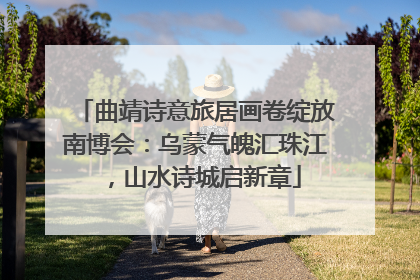 曲靖诗意旅居画卷绽放南博会：乌蒙气魄汇珠江，山水诗城启新章
